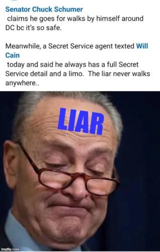 schumer-liar
