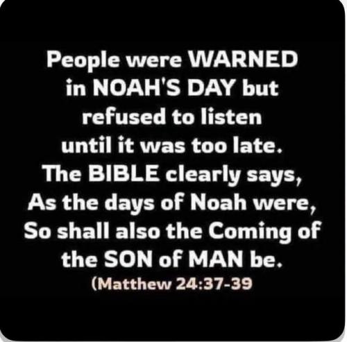 IMG_20250807_002451_067