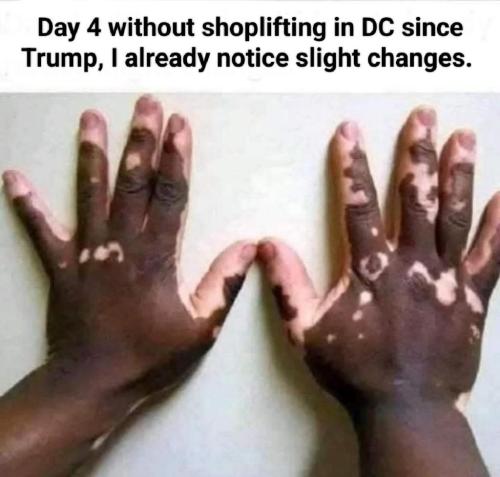 0040ab98-0e88-4906-ac22-a8c4acd99f57