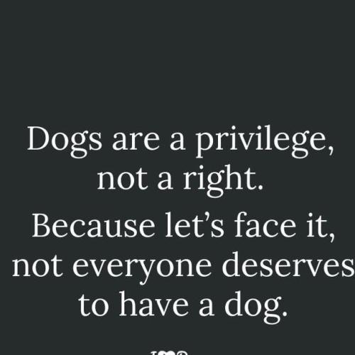 a97191b13694bd515d49fcb7f04b6ce6