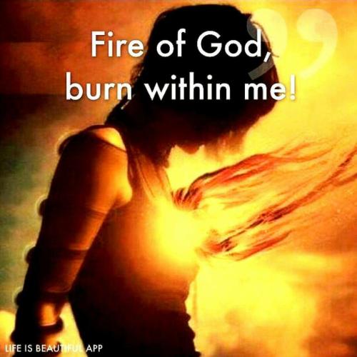 c6cb9db4ab8a3ec3184af42440117a1e