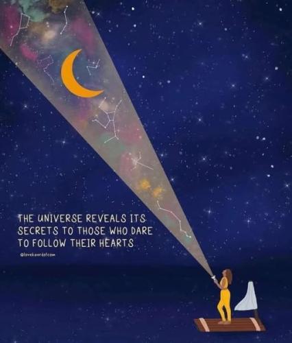 515015429_768092602773601_5861512470915517124_n