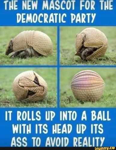 image_0A3F1B56-6C44-4C79-9F27-252F0B9D4611