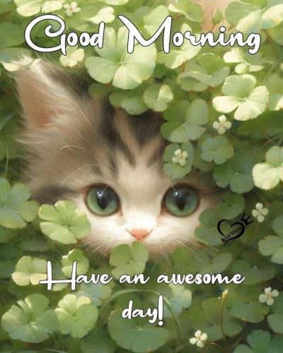 1f5d1f2dcdfbdb7fd47d17ccf0b0f7bf