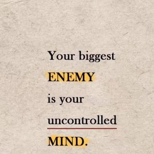 538892929_10238049132902760_8603302799852487730_n