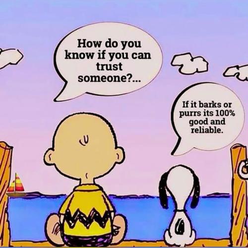 d7dd6683380f545c53e21905d7a7ce20