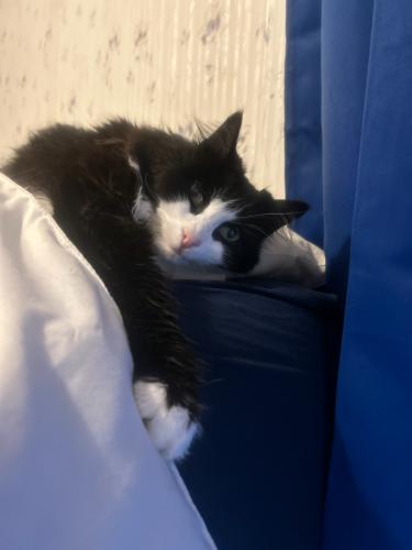 B5699D5E-1FED-49B8-B558-BB661C561847