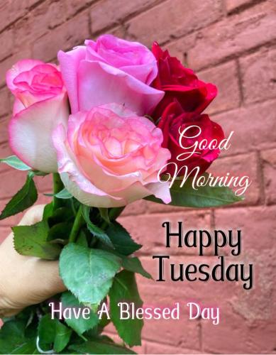 536099201_1067262342261875_7824859071639304930_n