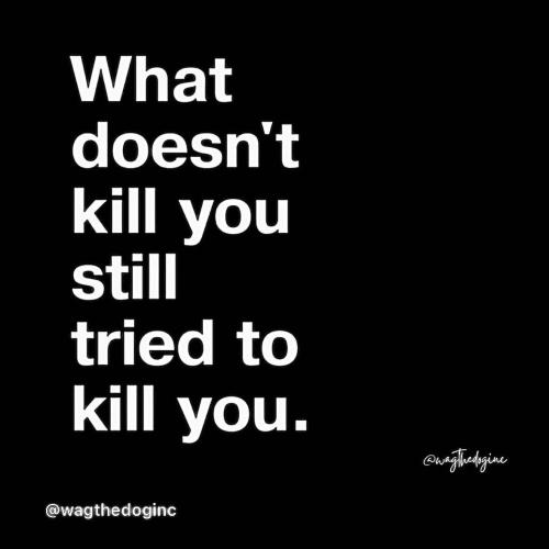 IMG_20250726_171148_642