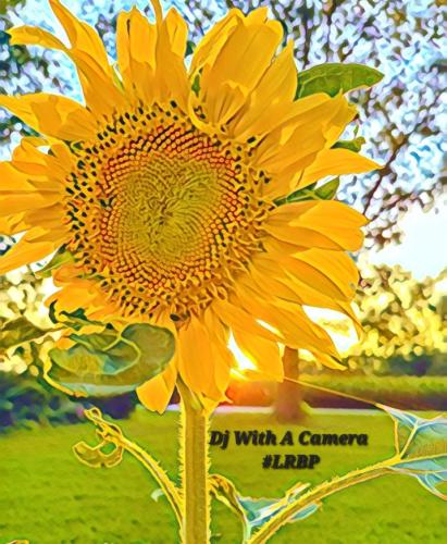 Screenshot_20250827_073322_Gallery