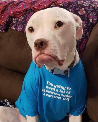 c134f74c284dfb167046d3dbf19a175b