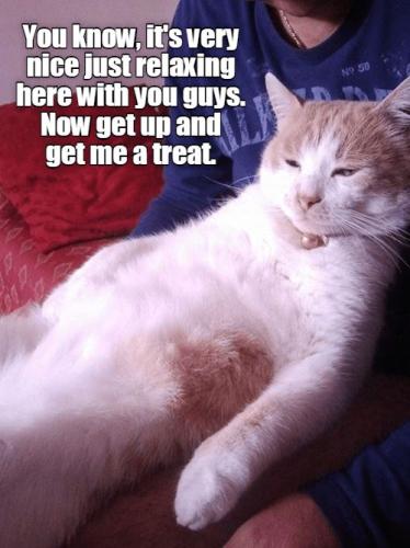 c9dc7aaa6777cbffd1e64c2cc904d7df