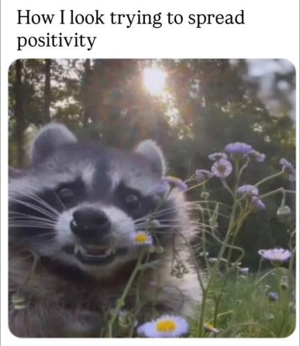 540691763_1586005699457816_4274613149448130908_n