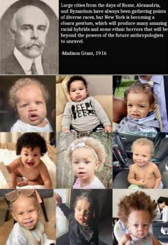 IMG_20250820_175949_681