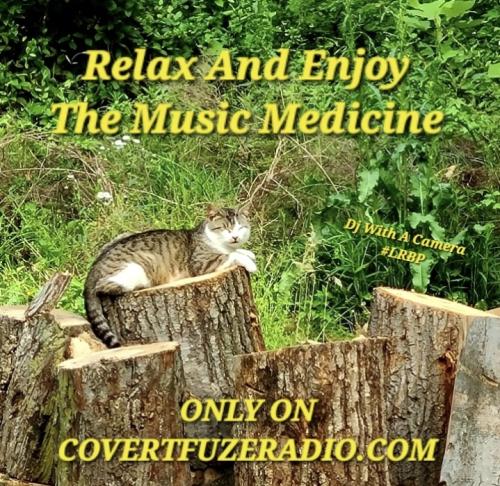 Screenshot_20250804_184903_Gallery