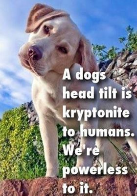 62d7b2d37e7ad22786e2f25d92596262