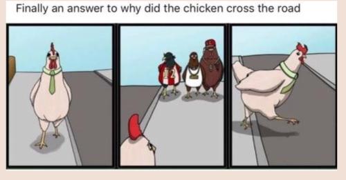 why the chicken crossed the road