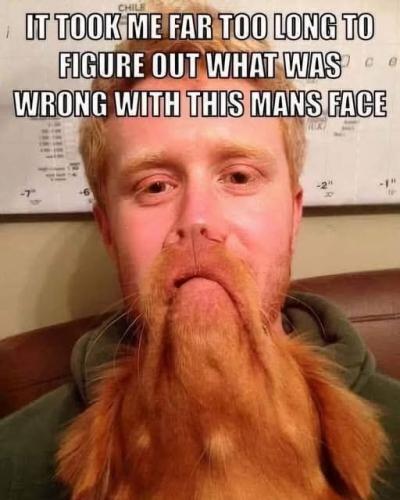 FB_IMG_1754534903587