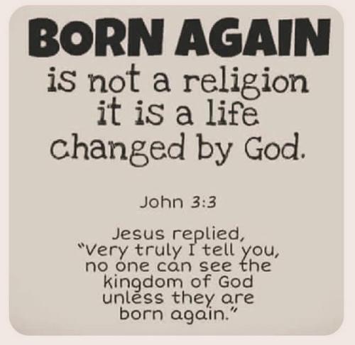 IMG_20250809_181956_709