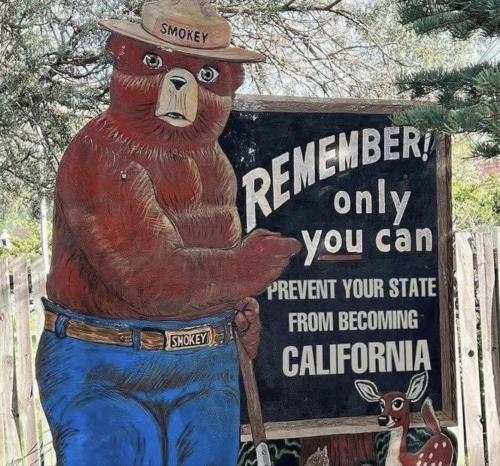 smokey bear