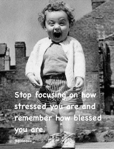 539252885_25652848430969667_3855781610051188442_n