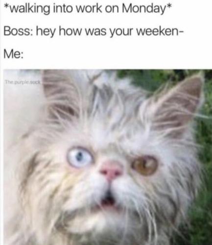 Screenshot_20250804_062700_Gallery