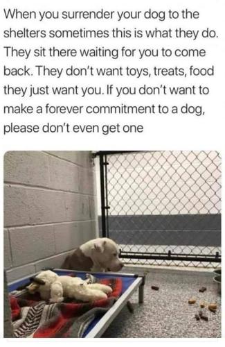 1afa79e630ee293d27a2af7bf2e3b7bc