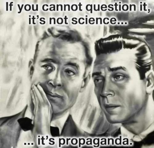 IMG_20250807_002505_410