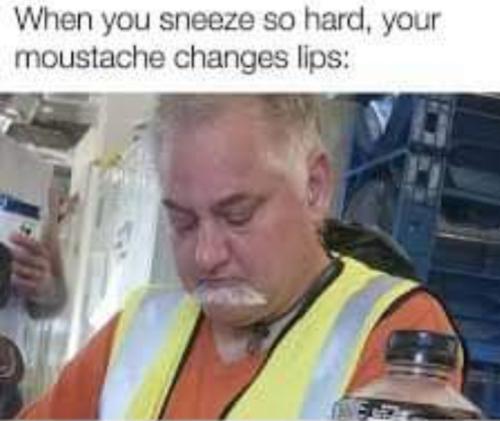 Screenshot_20250817_142817_Gallery