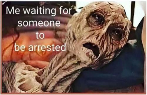 FB_IMG_1755388266417