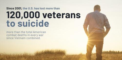 vet suicide