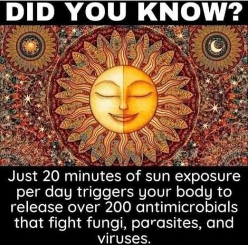 533560335_775077248741803_8562443157097188596_n