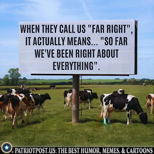 01K1YG4KKBFZCTZE518E2HVMHC