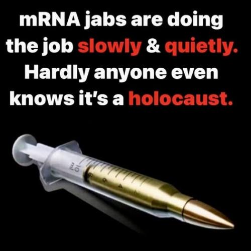 529701982_1347705636713280_7440161395207874565_n