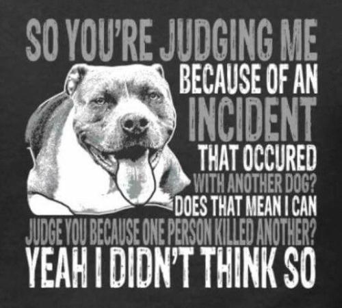 540d452d701ce08407631e72bac58c42