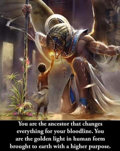 3356ca6a4beb7684f9bff005651b63e5