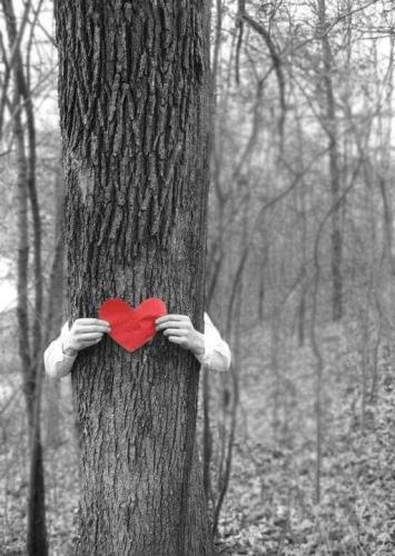 089e72f877fec603cb4065743ecaaedf