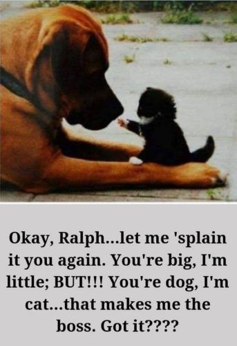 0aa827a98d38f97bf04bc951a26088dc