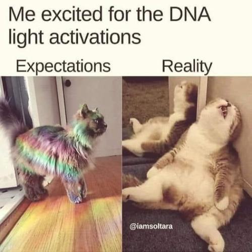 533592608_772554548994073_7249483524381842464_n