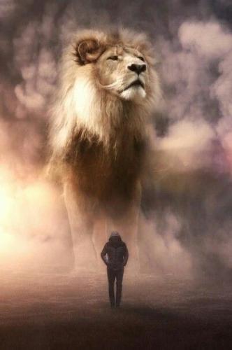 18c6bc5676ee74f2a31971e54e9d2a79