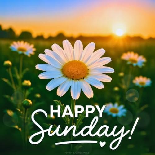 515759984_1102768818623542_7659176008403889862_n