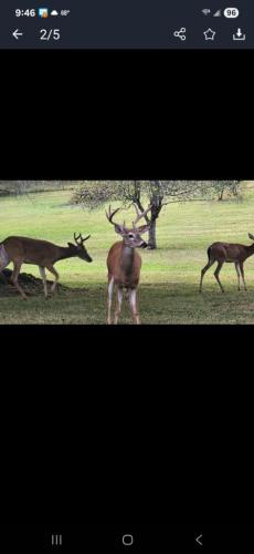 eb4edda7-b426-4a85-bea0-e2717b5f76de