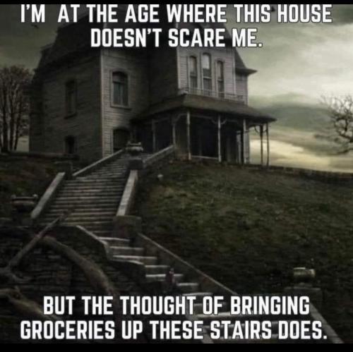 FB_IMG_1756135304059