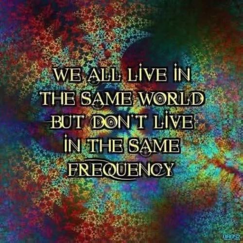 540763219_10162058970899958_3792523078880003888_n