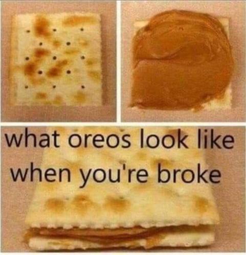 image_639F3C25-0981-4019-8B10-4ADDD00EA315