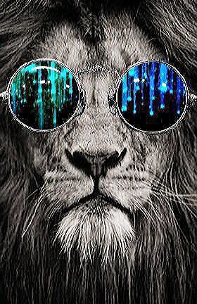 5af244f7e42f5ac13f64dad1046b6830