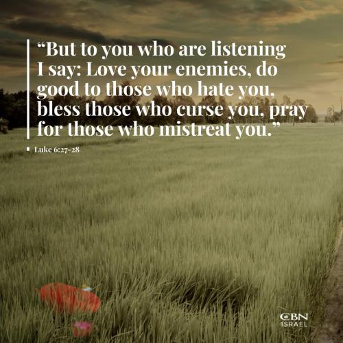 522638113_1398394547945230_3132923480284050721_n