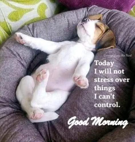 156d450e87a6d2989fbb8621ae318a3a