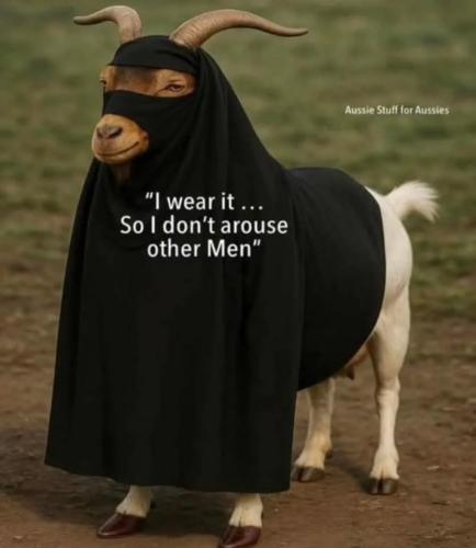 911485e6-dde4-4e2b-988d-a95fe9c767ca_834x960