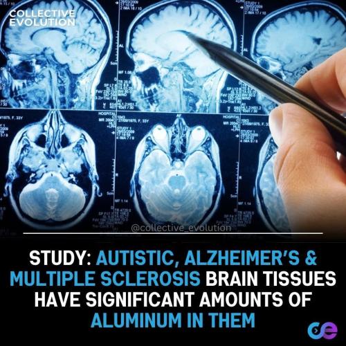 513880837_122132028872718379_6358016159594961192_n